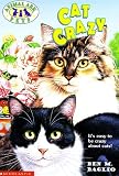 Cat Crazy