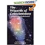 The Wizards of Consciousness: Making the Imponderable Practical