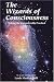 The Wizards of Consciousness: Making the Imponderable Practical