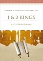 1 & 2 Kings: A  Commentary (Smyth & Helwys Bible Commentary)