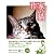 作家の猫 (コロナ・ブックス)