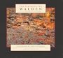 The Illuminated Walden: In the Footsteps of Thoreau