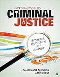 Introduction to criminal justice : systems, diversity, and change