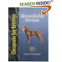 Chesapeake Bay Retriever