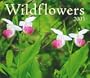 Wildflowers Calendar 2003