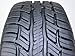 BFGoodrich ADVANTAGE T/A SPORT All-Season Radial Tire - 205/60-16 92H