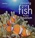 Choosing the Right Fish for Your Aquarium