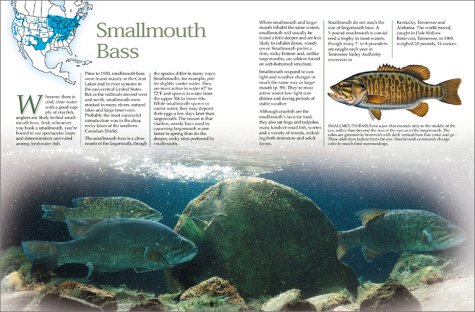 The Complete Guide to Freshwater Fishing (The Freshwater Angler) under Living on the Land in The Books Store