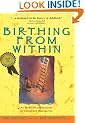 Birthing from Within: An Extra-Ordinary Guide to Childbirth Preparation