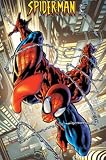 Spider-Man (Climbing Up Building) Black Wood-Mounted Movie Poster Print - 24 X 36