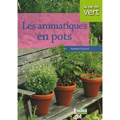 Les aromatiques en pots
