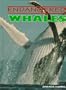 Whales (Endangered!)