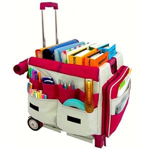 Canvas Storage