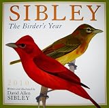 Sibley: The Birder s Year 2010 Wall Calendar (Calendar)