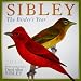 Sibley: The Birder's Year 2010 Wall Calendar (Calendar)