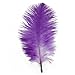 Leegoal Home Decor Purple Ostrich Feathers 10-15cm
