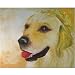 25 Pack Golden Retriever Note Cards by Dick Larsen