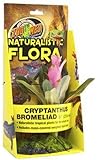 Zoo Med Naturalistic Flora Cryptanthus Bromeliad 8-Inch