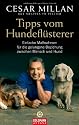 Tipps vom Hundefl&uuml;sterer: Einfache Ma&szlig;nahmen f&uuml;r die gelungene Beziehung zwischen Mensch und Hund