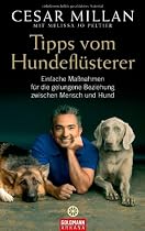Tipps vom Hundefl&uuml;sterer: Einfache Ma&szlig;nahmen f&uuml;r die gelungene Beziehung zwischen Mensch und Hund