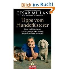 Tipps vom Hundefl�sterer: Einfache Ma�nahmen f�r die gelungene Beziehung zwischen Mensch und Hund