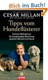 Tipps vom Hundefl�sterer: Einfache Ma�nahmen f�r die gelungene Beziehung zwischen Mensch und Hund