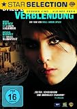 Produkt-Bild: Verblendung