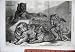 1868 Leopards Tigress Zoological Gardens Animals London
