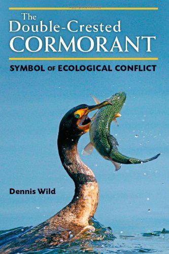 the double crested cormorant symbol of ecological conflict