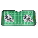 Carolina Panther Green Sunshade
