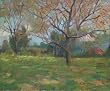 View from the Orchard