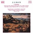 Bach - Cantatas