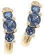 14K Yellow Gold Sapphire Earrings