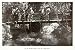 1947 Print Devils Hole Bermuda Angel Fish Fishermen Footbridge Fishing Tropical - Original Halftone Print