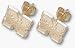 Nebraska Cornhuskers 3/8 N Huskers Post Earrings - 10KT Gold Jewelry
