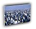 penguin multiplicity king A2 Large Canvas