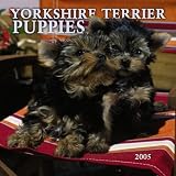 Yorkshire Terrier Puppies 2005 Mini Wall Calendar image