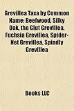 Grevillea Taxa by Common Name: Beefwood, Golden Grevillea, Red Spider Flower, Silky Oak, Native Fuchsia, the Glut Grevillea, Fuchsia Grevillea-