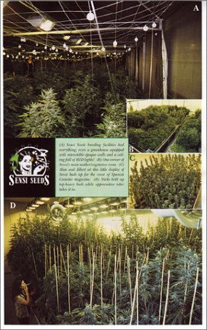 Indoor Marijuana Horticulture - The Indoor Bible (Marijuana Horticulture: The Indoor/Outdoor Medical Grower's Bible)