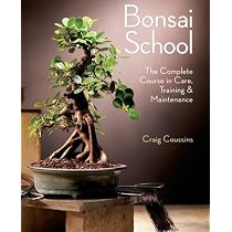 Bonsai School: The Complete Course in Care, Training & Maintenance