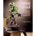 Bonsai School: The Complete Course in Care, Training & Maintenance