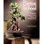 Bonsai School: The Complete Course in Care, Training & Maintenance