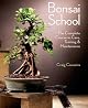 THE BONSAI SCHOOL