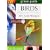 Common Birds of Australia (Australian Green Guides)