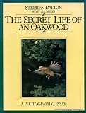 The secret life of an oakwood : a photographic essay