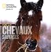 Face aux chevaux sauvages