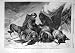 1856 SEVERE WEATHER ANSDELL DOG SHEEP SHEPHERD PRINT