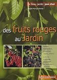 Des fruits rouges au jardin