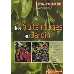 Des fruits rouges au jardin