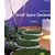 Small Space Gardens